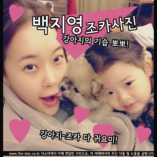 ������ ��ī ���� ������ ��ī ���� / ���� : ������ Ʈ����