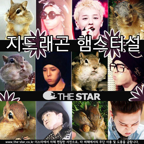 巡 ܽͼ /  : 巡 Ʈ