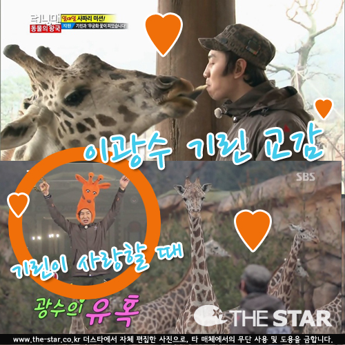 �̱��� �⸰ ���� / ���� : SBS '���׸�' ��� ĸó