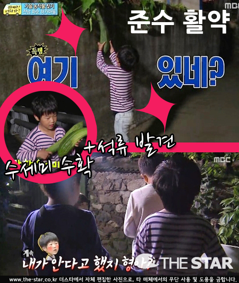 ؼ  /  : MBC 'Ϲ-ƺ '  ĸó