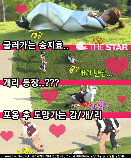  ȿ  /  : SBS '׸'  ĸó