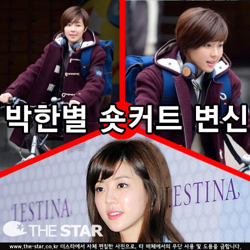 Ѻ ĿƮ /  : Ÿ DB, SBS 