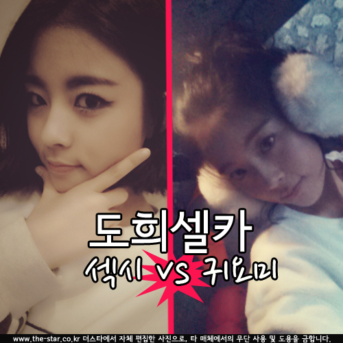 ���� �͸��� ��ī / ���� : ���� Ʈ����