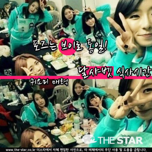 ޻  ɽĻ /  : ̽θƮ