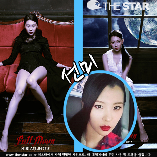   ī /  :  νŸ׷,  ĻƮ