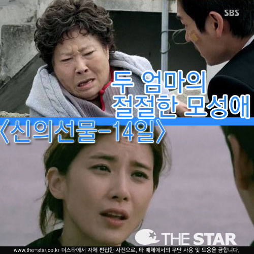    / : SBS ' -14'  ĸó