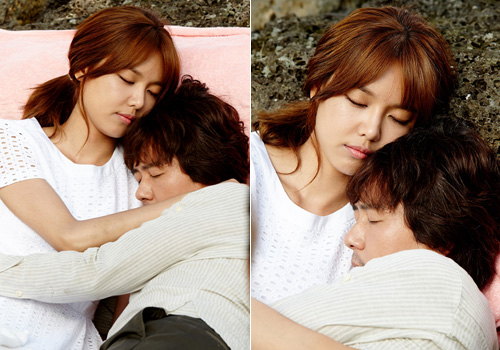 'ֺ' 켺-ּ ƿ   /  : 帲̾ؿ, ĳʽθƮ 