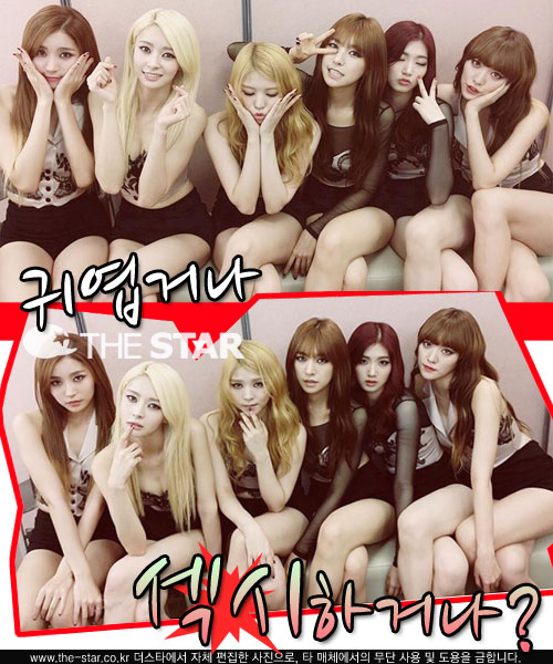 ��κ�ʽ� �������� / ���� : ��κ�ʽ� Ʈ����