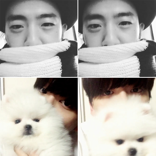 B.A.P() 뱹-  λ Ȳ /  : 뱹, νŸ׷