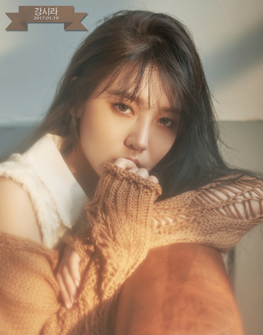 'εེ101' ö, ַ  Ȯ19 ٹ ߸