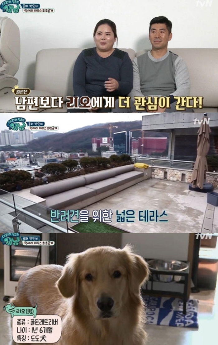 κ  / : tvN 'ȭ ʿ '  ĸó