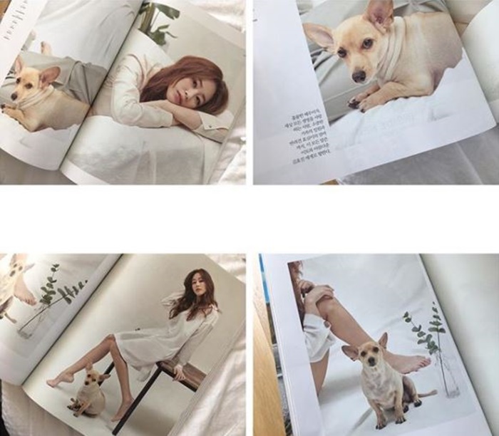 ȿ Ŀ  / : ȿ νŸ׷