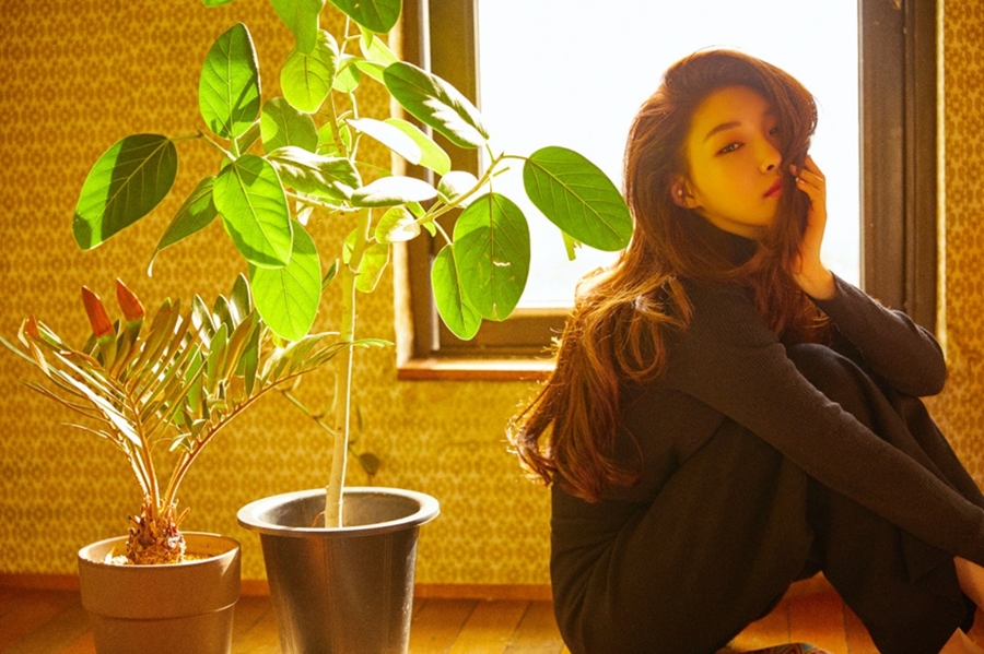 û '̺' Ʈ  °  / : MNH 