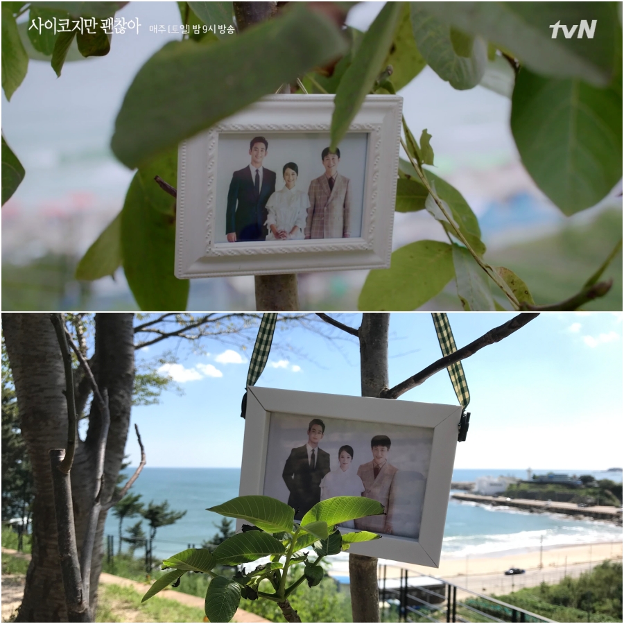  : tvN ' ' ĸó ȭ(), Ϻ Ϻ  (Ʒ)