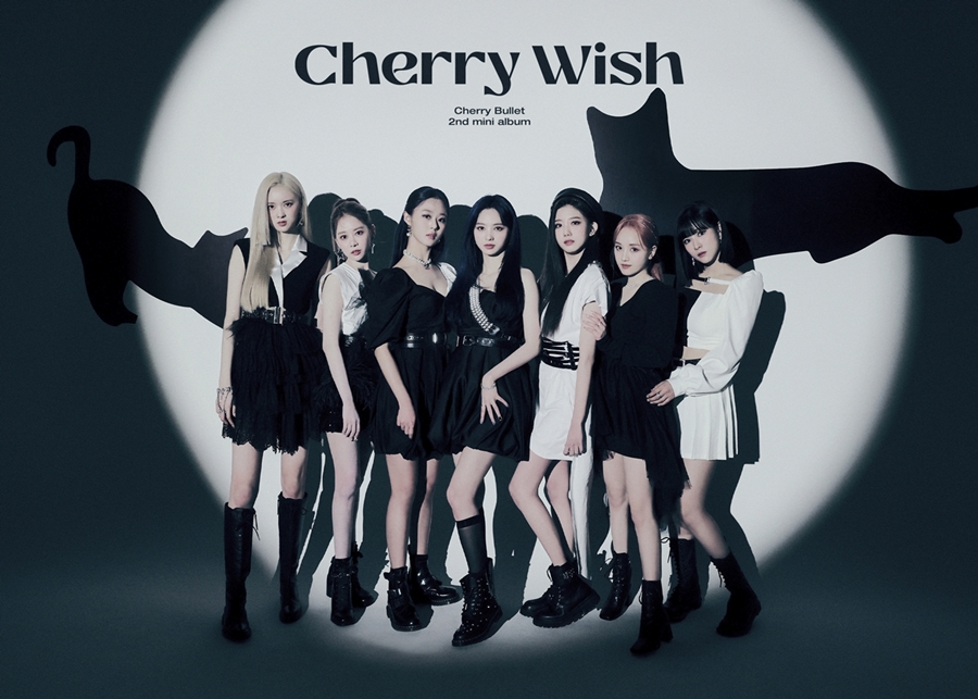 1 2  ƿ ü   'Cherry Wish'