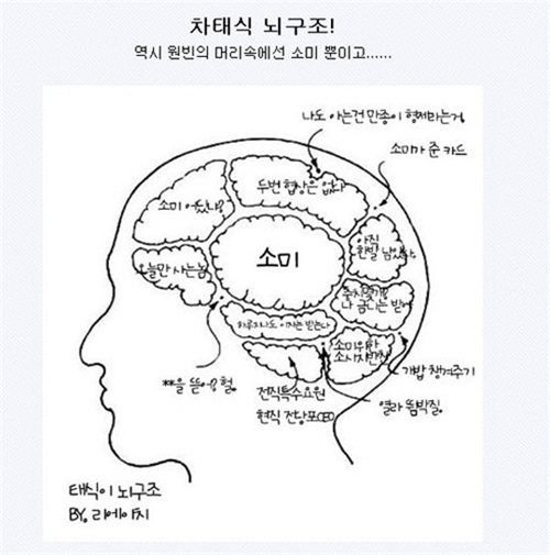 '아저씨' 원빈, 폭소만발 '뇌구조'에 네티즌 폭소