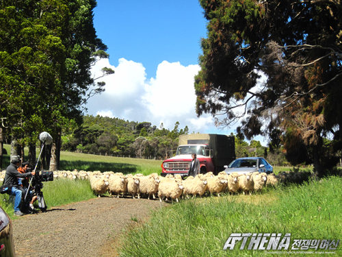 '׳' 켺-,  ƿ  '  ׸'