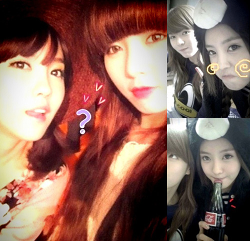  : () ȿ, ()  / ȿ Ʈ