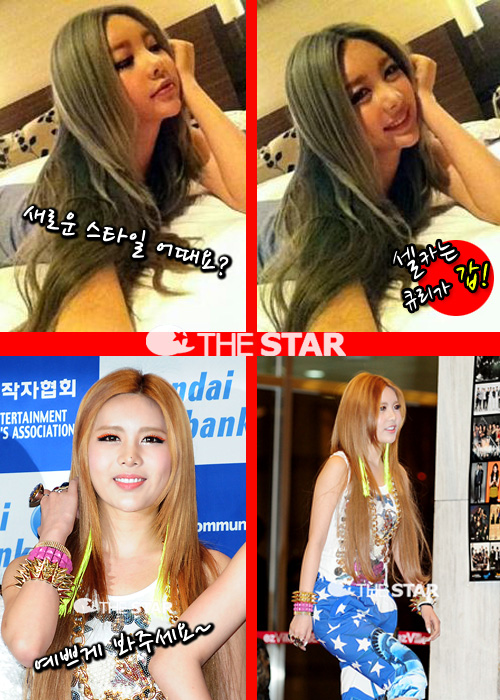 ť ī /  : Ÿ DB, ť Ʈ