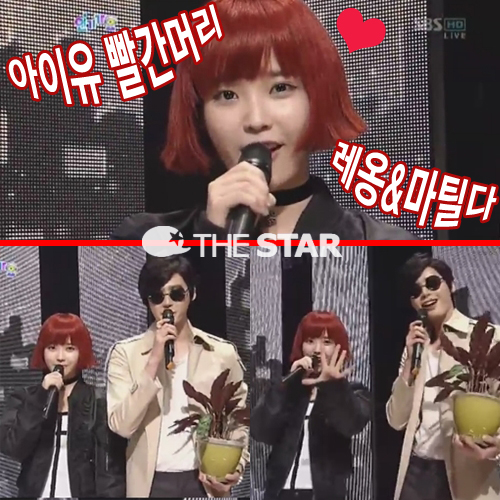  Ӹ  Ӹ /  : SBS <αⰡ>  ĸó