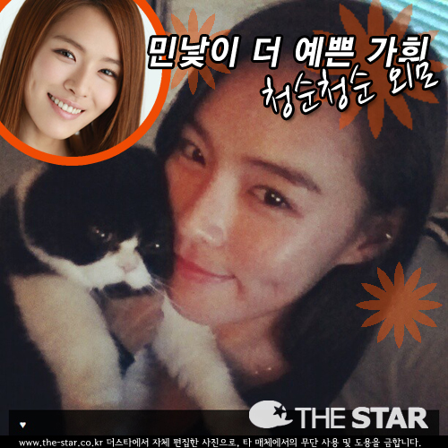  γ ī /  :  Ʈ, Ÿ DB