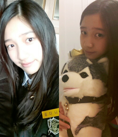 ���� : �ھ��������̵�� ����