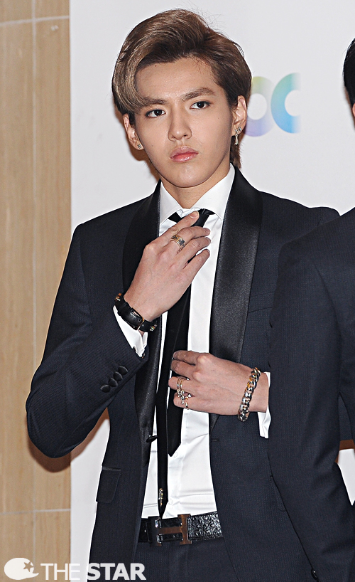 골든디스크 엑소 크리스 / 사진 : 현성준 기자, star@chosun.com