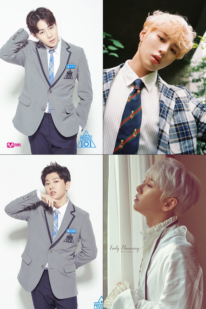 '프로듀스101' 출연한 하성운-노태현 / 사진: Mnet '프로듀스101' 공식홈페이지, 스윙, 스타크루이엔티 제공