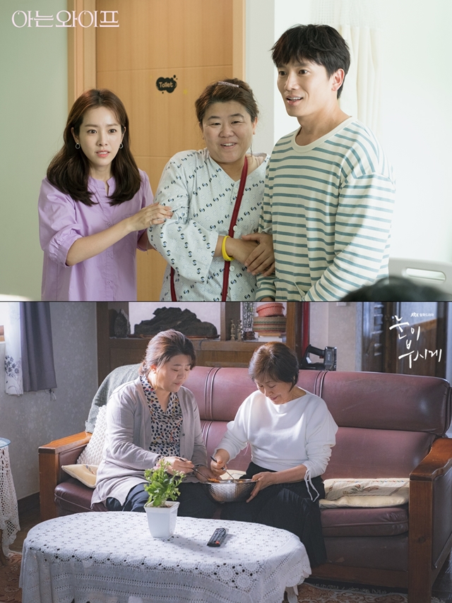 '아는와이프'-'눈이부시게'에서 열연을 펼치는 이정은 / 사진: tvN, JTBC 제공