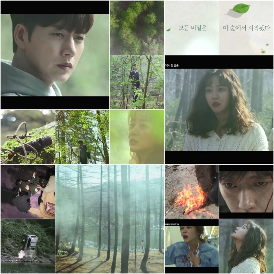 '포레스트' 1차 티저 공개 / 사진: 영상 캡처