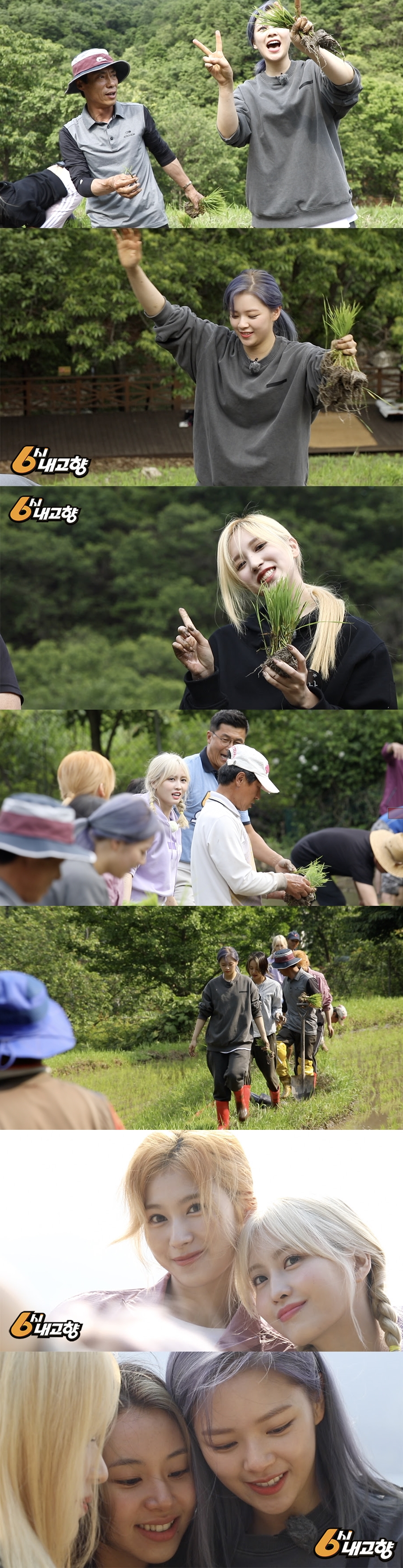 트와이스, '6시 내고향' 출연 / 사진: KBS 제공