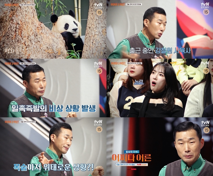 사진 : tvN STORY ‘어쩌다 어른’