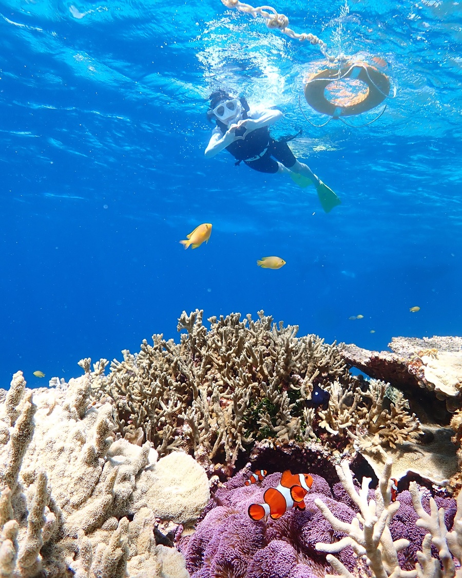 ¿,    ̴ ۷ ¡Ϻ ̱۳ 