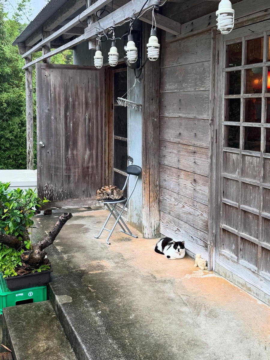 渮, ǽ ʹ ª  ƴϾ? źź ܹ ⿡ ü Ż