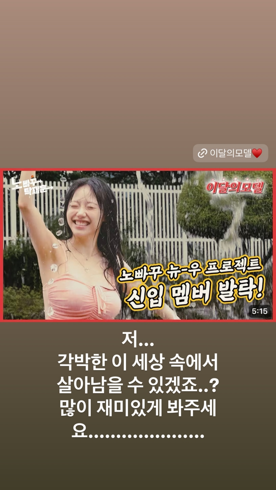 ñ״ó , 鵵 Ƽ  ̴  û ۷