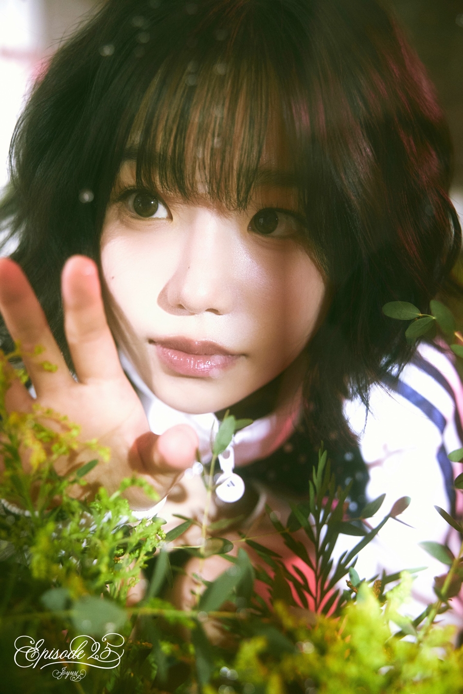 , '¡' ġ  Ĺ "ǵ ⵵ ̰ Ȱ " (Ϲϴ)