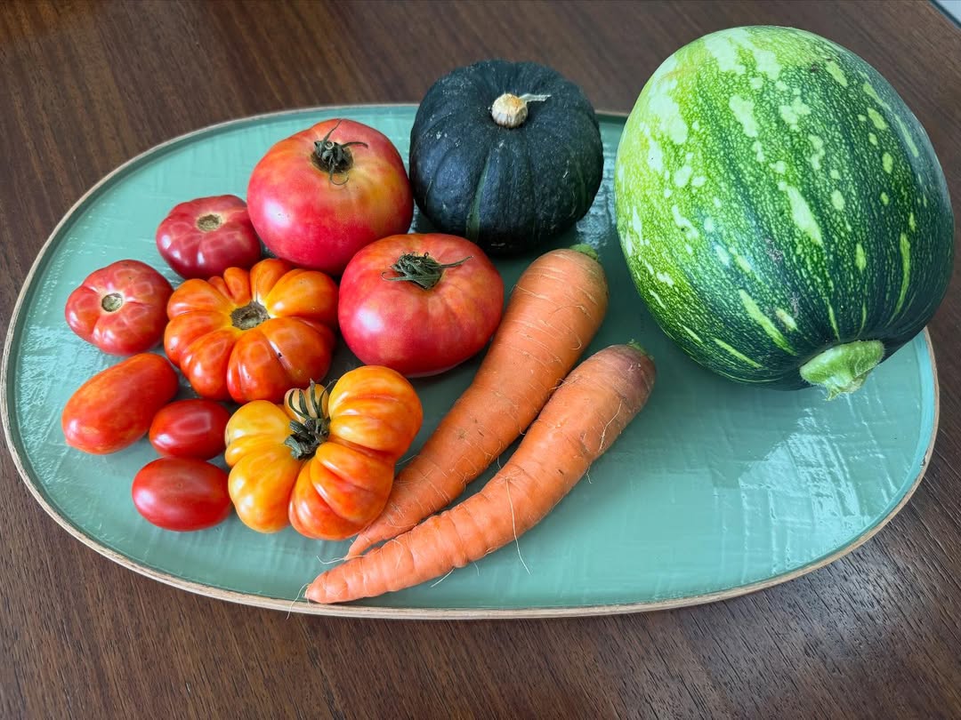 '' տ, ̷ ɷ± ־? "¿, ǰۿ"