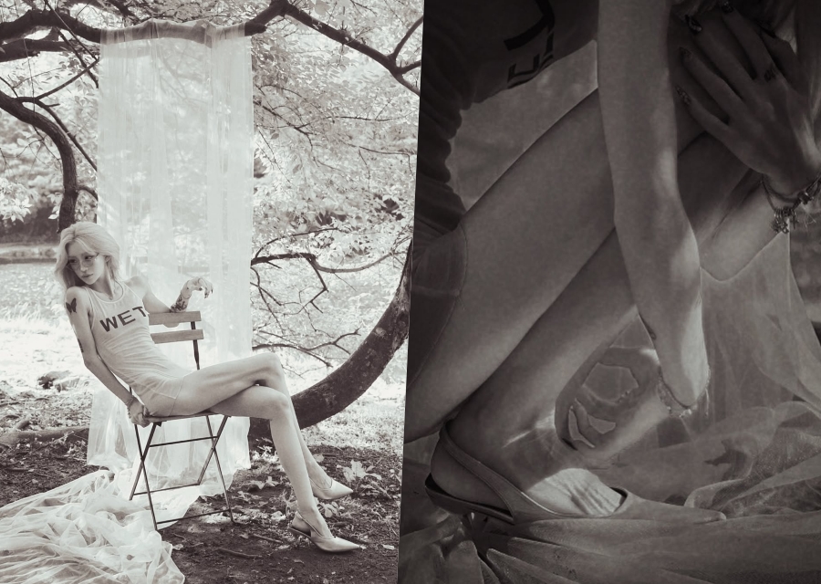 'ͺ  ' , 41kg   ź ֿ İ ܼƮ