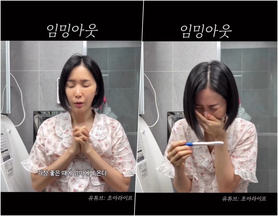 초아, 쌍둥이 임신 