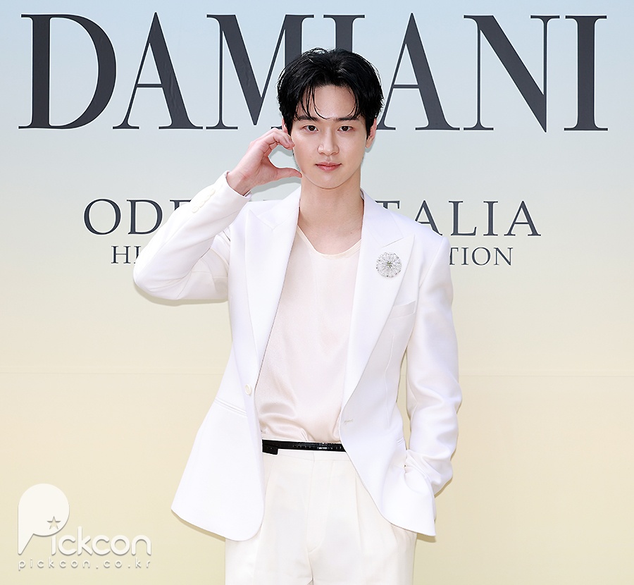 다미아니 포토월 / 사진: 픽콘DB
