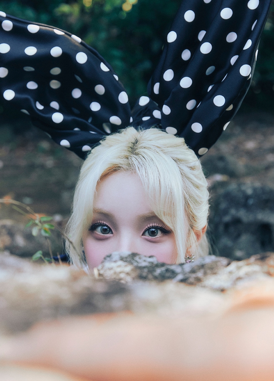 ̵ , ַ Ĺ " յΰ ҵ鲲  ְ ; ۾" (Ϲϴ)