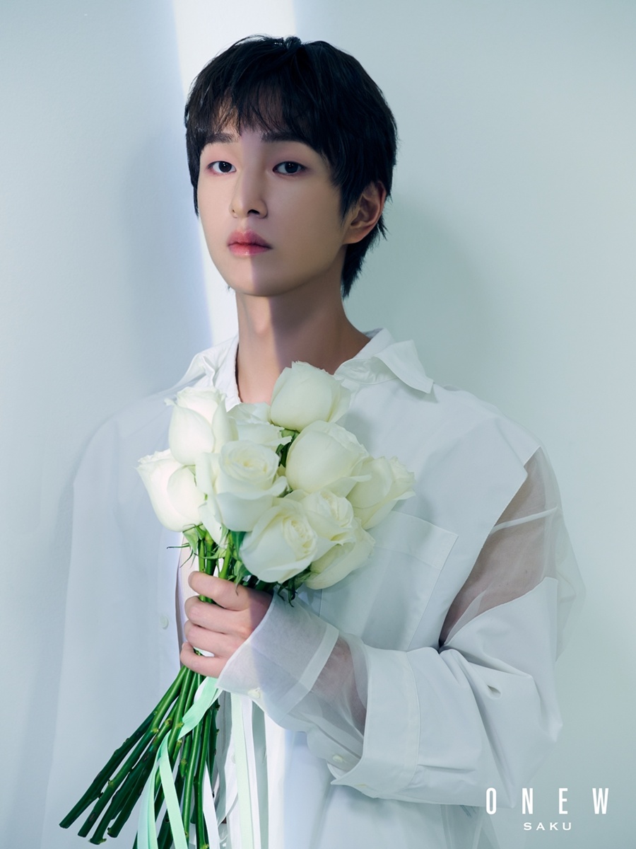 ̴ , 10 1   ٹ 'SAKU' ߸š ǿ ɹ