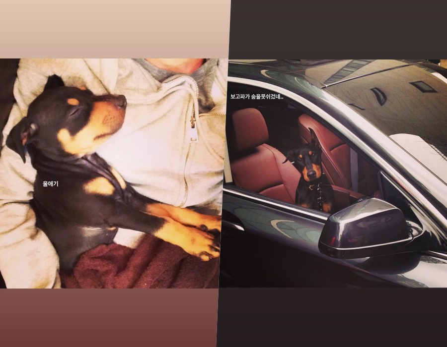 배정남, 벨 향한 사무치는 그리움 