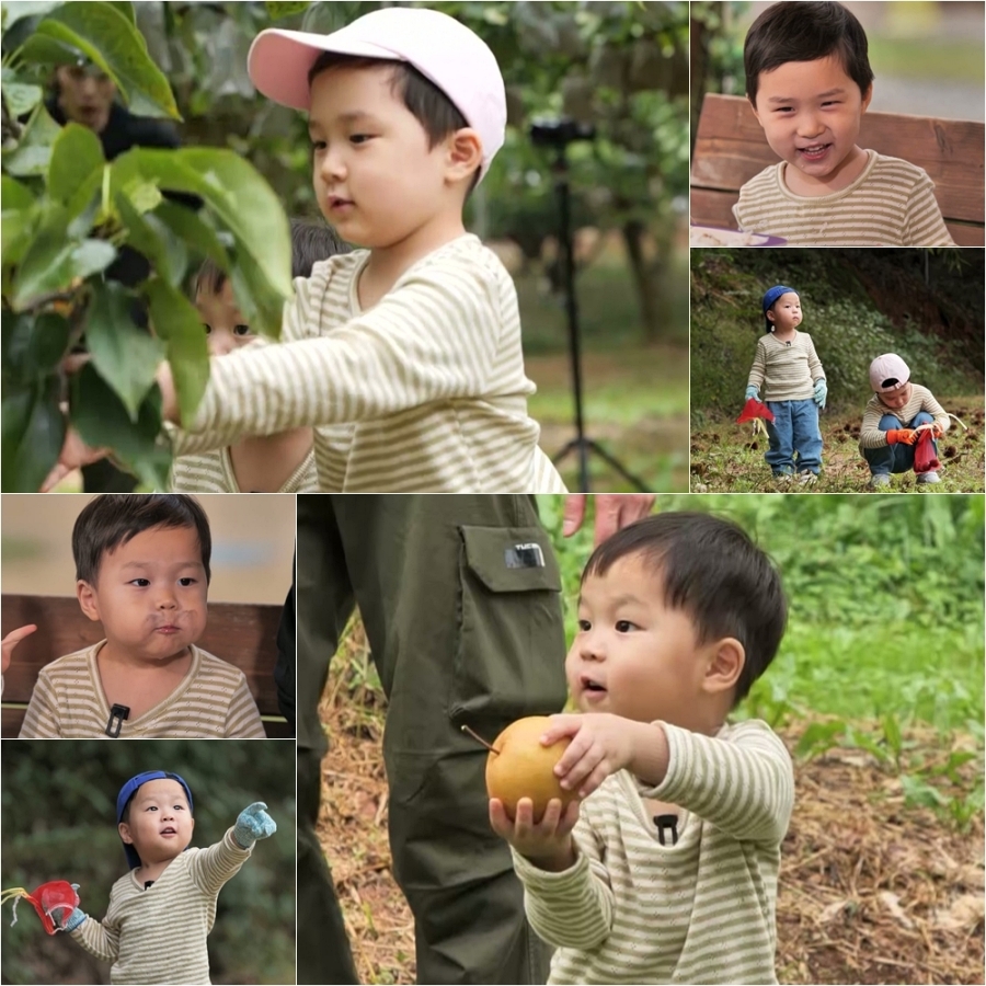 은우X정우, 밤 따기도 척척 해내는 귀요미 형제…풀파워 발차기(슈돌)