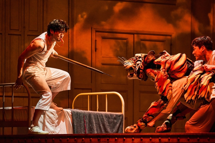 Xڰ '  ', 19 ų Ƽ  Ȯ