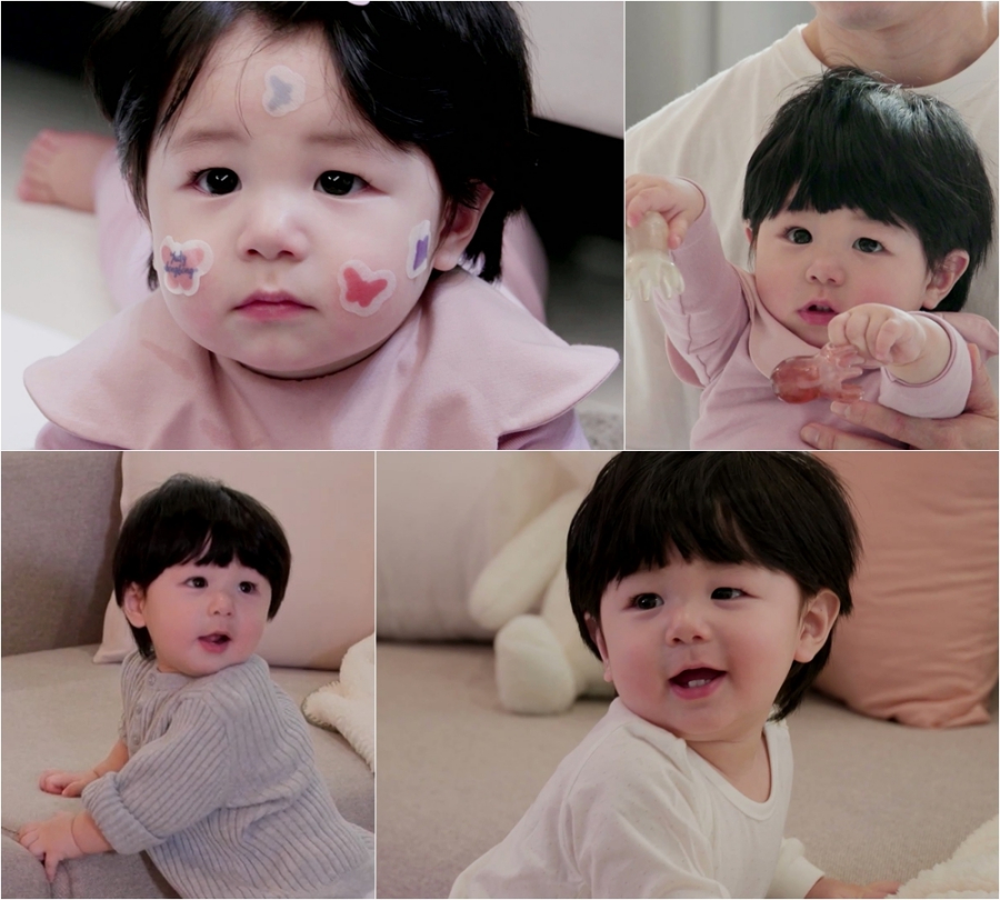 ����: KBS ����