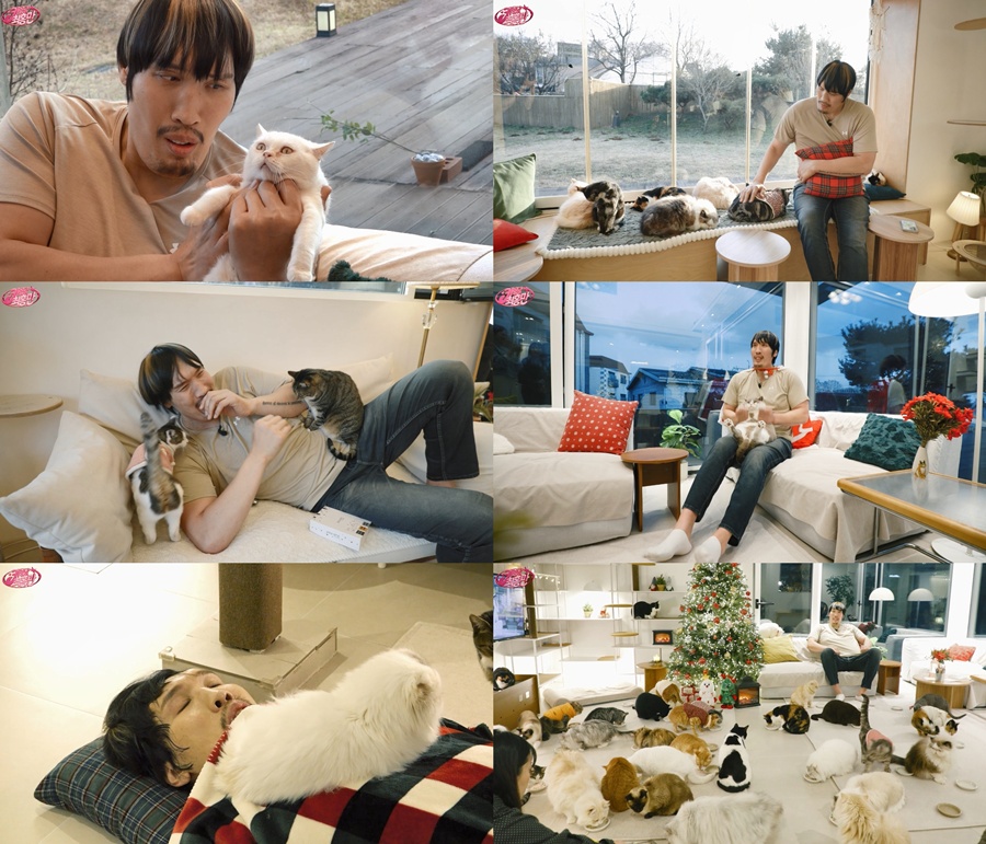 ����: ��Ʃ�� ä�� 'Ű���� ��ȫ��' ����