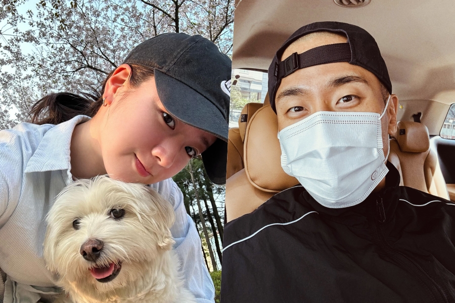 ����: ������, �� �ν�Ÿ�׷�