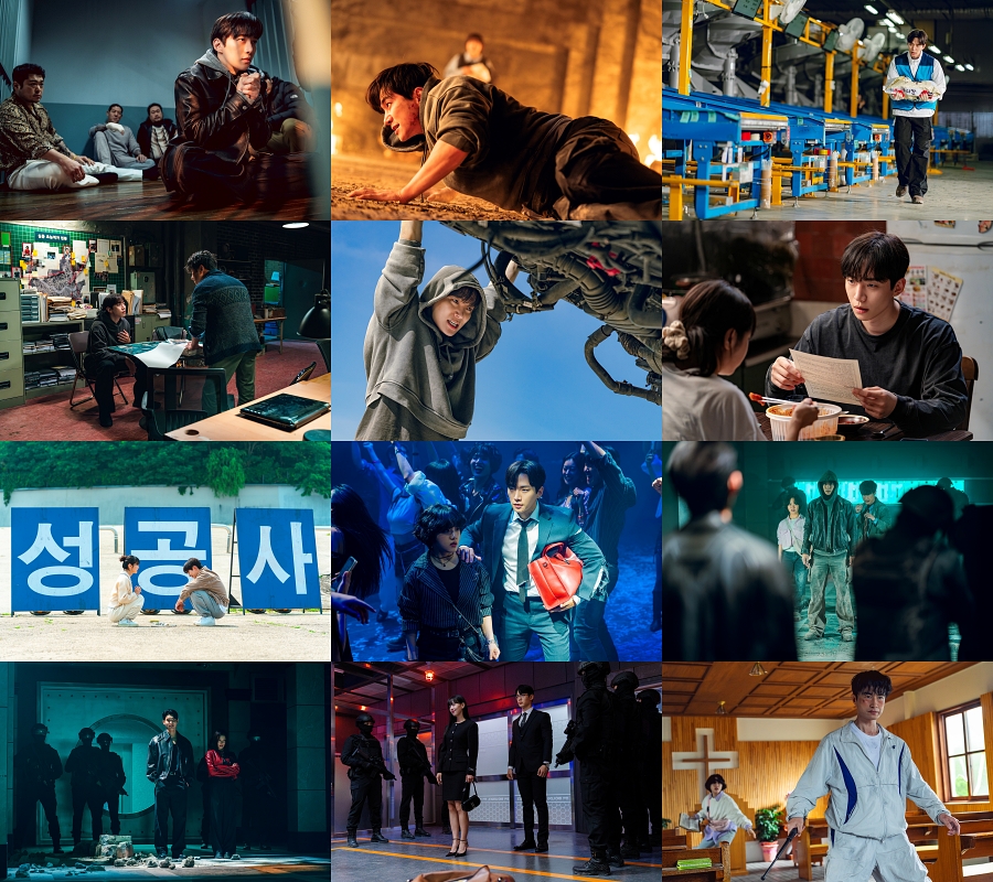 ����: ���ø��� ����