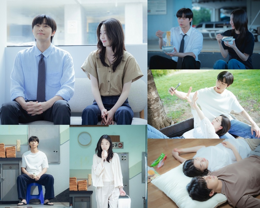 사진: SLL, 아이엔, 글뫼 제공